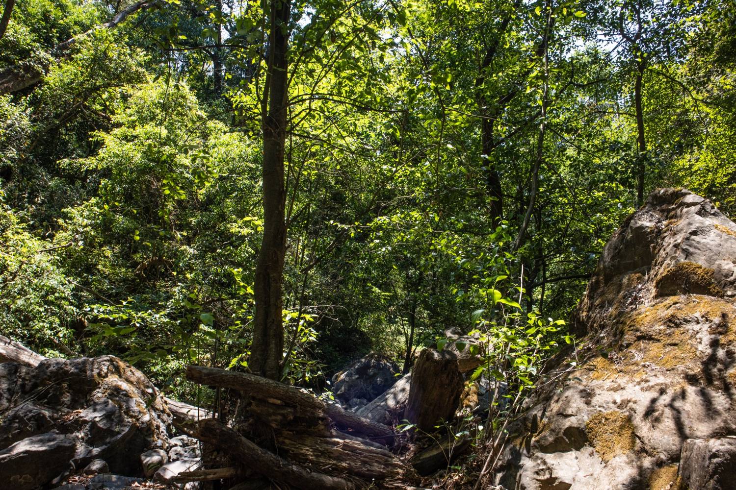 Hiking y Naturaleza