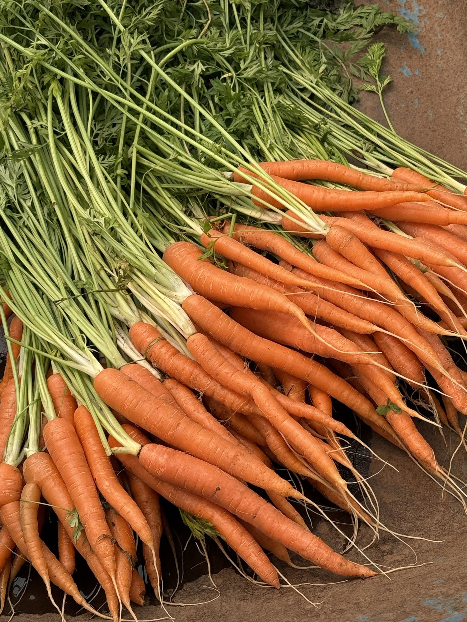 Restaurantes Farm-to-Table