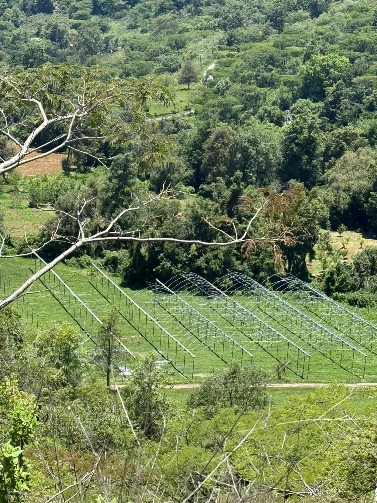 Suelo — Tierra Nueva, Temascaltepec